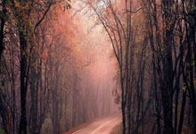 体坛名场面 ｜吴艳妮真是人来疯，人越多她越兴奋！.