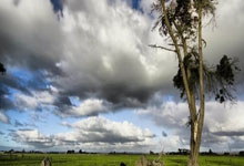 第十五届全运会群众赛事活动在宁夏“首秀”2025-02-21.