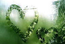 NG体育：[英超]第4轮：利物浦VS诺丁汉森林.