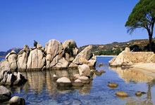 NG体育：半场战报：莱加内斯2-0皇家贝蒂斯，达尼-拉巴梅开二度.